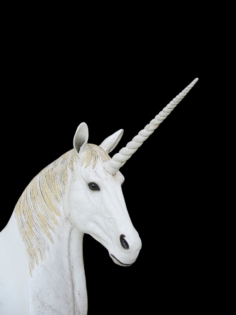 Wizard Wand